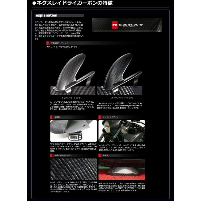 NEXRAY CARBON DRY ネクスレイカーボンドライ リアフェンダー TYPE-2