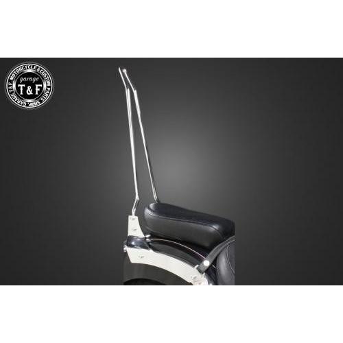 Garage T＆F ガレージ 純正フェンダー専用シーシーバーロング カラー