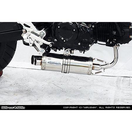 ☆純正マフラー改☆ WirusWin（ウイルズウィン） ツインテールダウンマフラー【フル