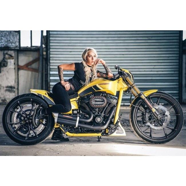 THUNDER BIKE サンダーバイク Grand Prix フルエキゾースト FLFB THUNDER BIKE サンダーバイク Grand Prix フルエキゾースト FLFB