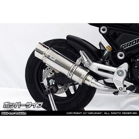 ウイルズウィン スリップオンマフラー WirusWin | Webike ユーロタイプ
