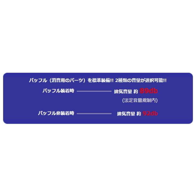 WirusWin ウイルズウィン スリップオンマフラー【後期型】 サイレンサータイプ：ステンレス / サイレンサー出口：スラッシュ エリミネーター250V マフラー_9