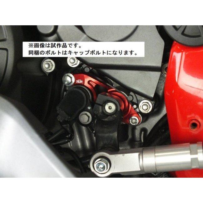 TSR テクニカルスポーツレーシング シフトサポートプレート CBR250RR HONDA ホンダ シフトガイド ステップ 足回り_1