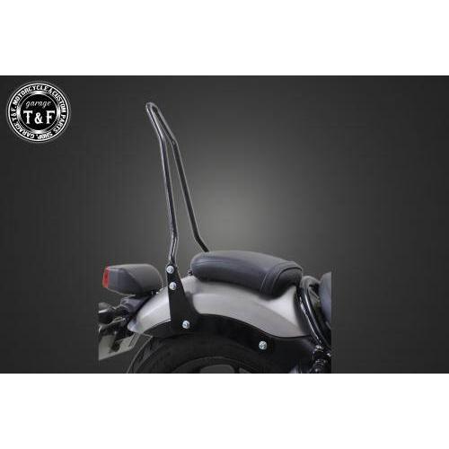 Garage T＆F ガレージ 純正フェンダー専用シーシーバー カラー