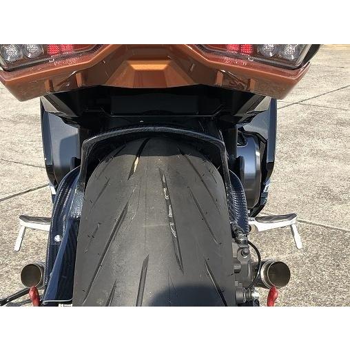 CLEVER WOLF（クレバーウルフ） リアフェンダー タイプ：カーボン綾織