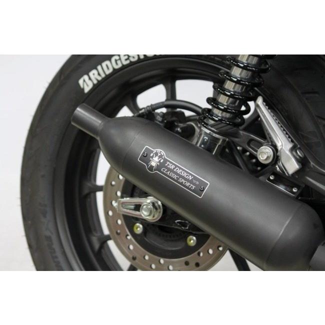 TSR テクニカルスポーツレーシング キャブトンマフラー カラー TSR テクニカルスポーツレーシング キャブトンマフラー カラー