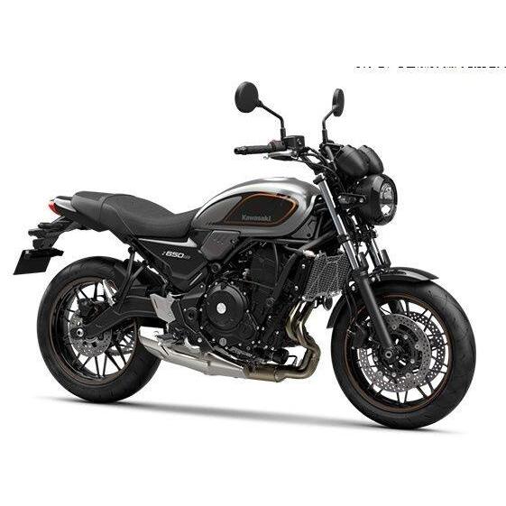 カワサキ（Kawasaki） ラジエタースクリーン Z650RS KAWASAKI