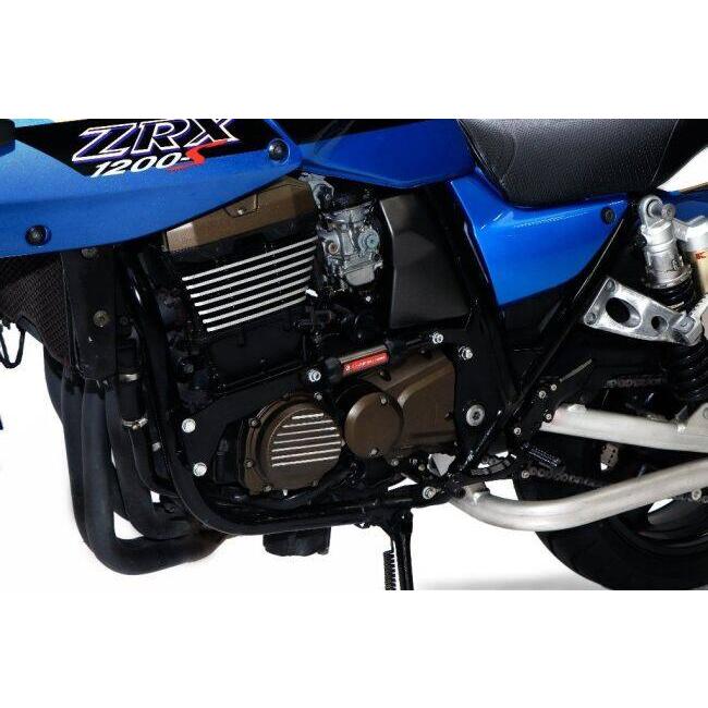 KAWASAKI ZRX1200DAEG パフォーマンスダンパー(R) ダエグの走りが変わる！ アクティブの「パフォーマンスダンパー（R