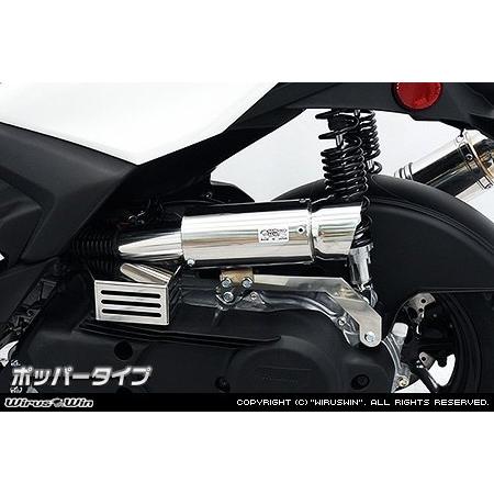 WirusWin ウイルズウィン サイレンサー型 エアクリーナーキット タイプ：ポッパータイプ シグナス グリファス(CYGNUS GRYPHUS) YAMAHA ヤマハ 吸気関連_1