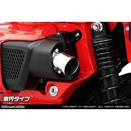 WirusWin ウイルズウィン エアクリーナー専用テール型カバー タイプ 