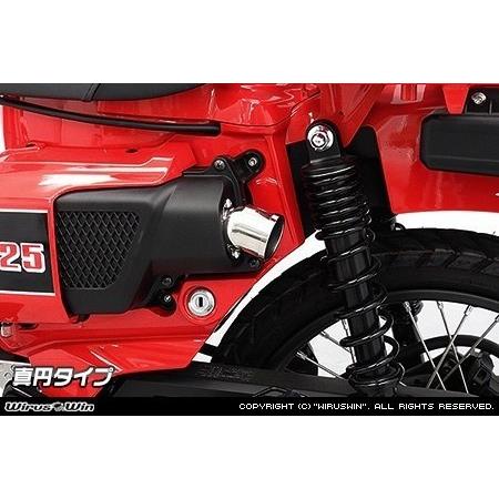 WirusWin ウイルズウィン エアクリーナー専用テール型カバー タイプ 