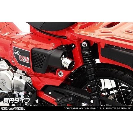 WirusWin ウイルズウィン エアクリーナー専用テール型カバー タイプ 