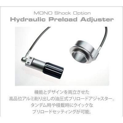 NITRON ナイトロン リアサスペンションモノショック NTR R3 シリーズ スプリングカラー：ターコイズブルー GSX-S1000 SUZUKI スズキ リアサスペンション 足回り_8