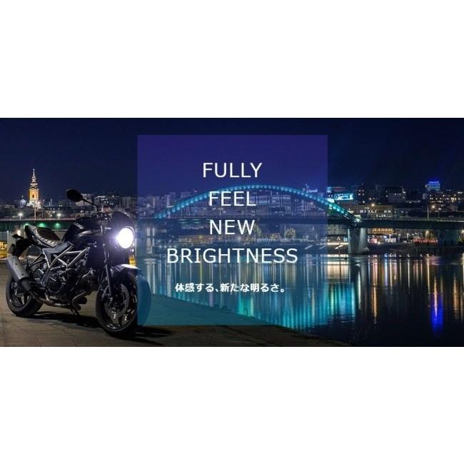 SPHERE LIGHT スフィアライト バイク用LEDヘッドライト RIZING3 H4 Hi/Lo ケルビン数：4500K LEDヘッドライトバルブ 灯火類 電装系の画像
