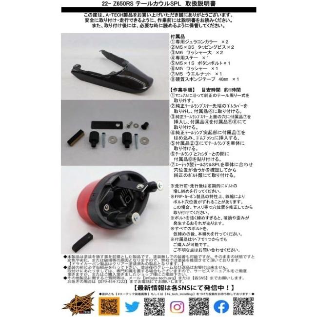 A-TECH エーテック ドライブチェーンガード 素材：C 平織カーボン / クリアー塗装：あり Z650RS KAWASAKI カワサキ チェーンガード フレーム_6