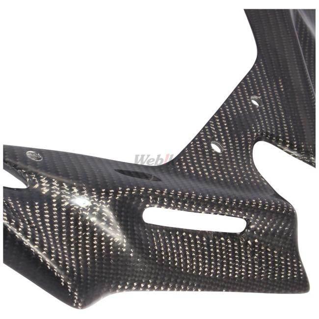 Carbon Variasi カーボンバリアシ ウイングレット ZX-25R KAWASAKI