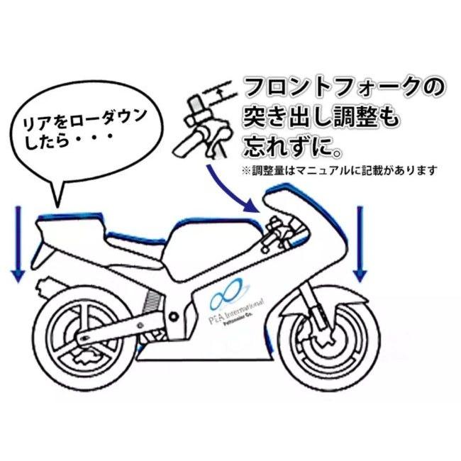 P&A International P&Aインターナショナル ローダウンキット ダウン量 