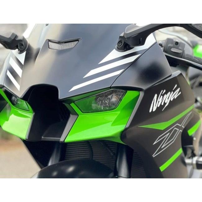 STRIKER ストライカー スペシャルステップキット 4ポジション ZX-10R