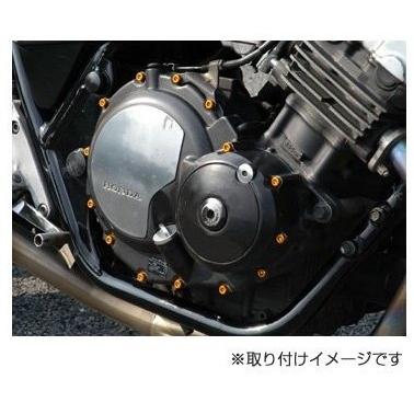 日本限定 JP MotoMart(DURA-BOLT) JPモトマート(デュラボルト) エンジンカバーボルトキット 30本セット カラー：レッド レブル 250 HONDA ホンダ