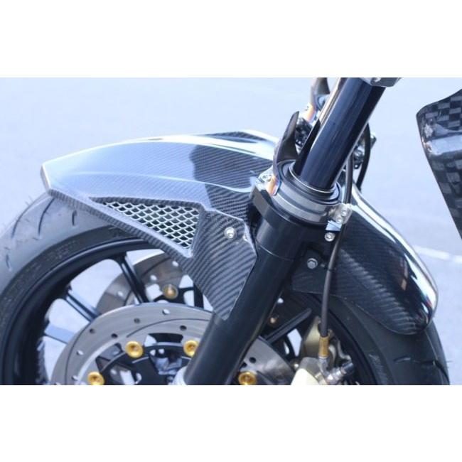 VERTIA ヴェルティア フロントフェンダー タイプ：Carbon ZRX1200DAEG
