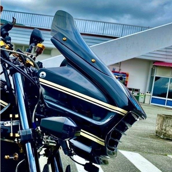 VERTIA ヴェルティア フロントワイドカール タイプ:FRP ZRX1100 VERTIA ヴェルティア フロントワイドカール タイプ:FRP ZRX1100