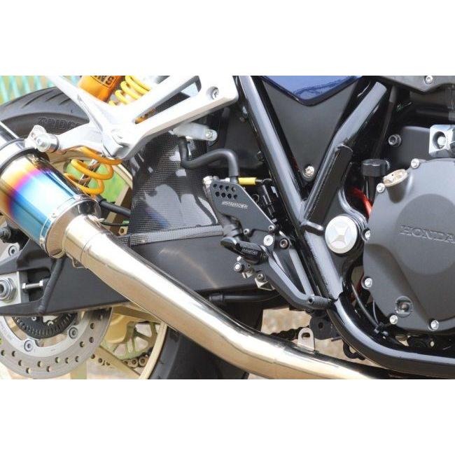 STRIKER（ストライカー） スポーツツーリングコンセプト(STC)ステップ 