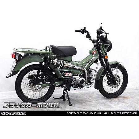 値下げしました 早い物勝ちですよ￼ Wirus Winのカーボンマフラー WirusWin（ウイルズウィン） ツインテールアップマフラー サイレンサー