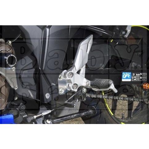 Stepページ babyface（ベビーフェイス） セットバックプレート GIXXER 250 SF250