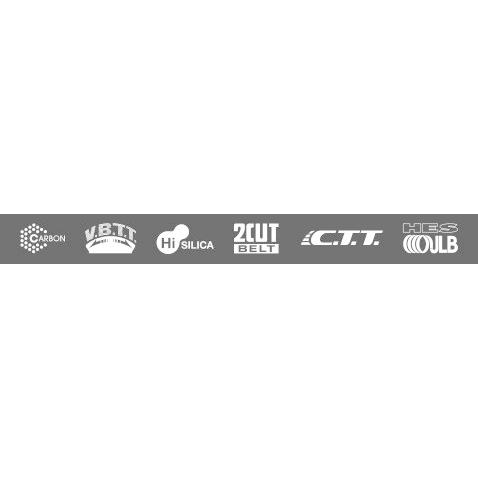 DUNLOP（ダンロップ） TT100GP 【150/70ZR17 (69W) TL】 タイヤ オン