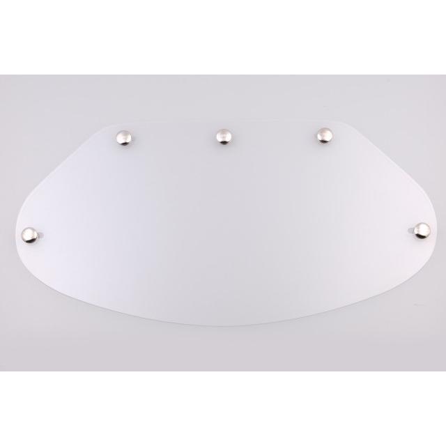 DIN MARKET（ディンマーケット） COMPETITION シールド カラー：クリア