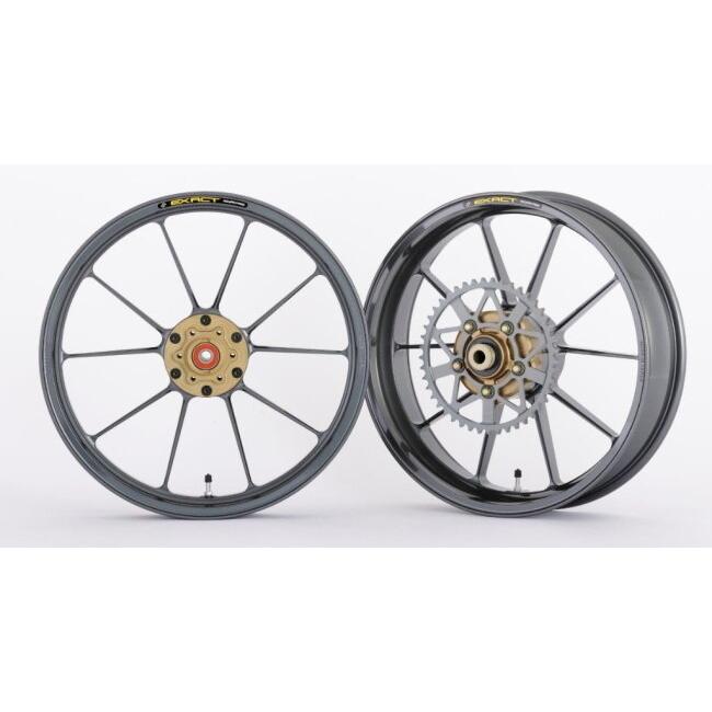 ADVANTAGE アドバンテージ EXACT [イグザクト] RACING 10 フル鍛造マグネシウムホイール カラー：ガンメタ Ninja ZX-4R SE ZX-4RR ZX-25R KAWASAKI カワサキ | ADVANTAGE | 01