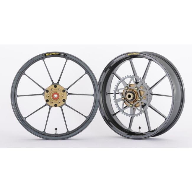 ADVANTAGE アドバンテージ EXACT [イグザクト] II RACING 10 フル鍛造アルミホイール カラー：ガンメタ Ninja ZX-4R SE ZX-4RR KAWASAKI カワサキ ホイール | ADVANTAGE | 01