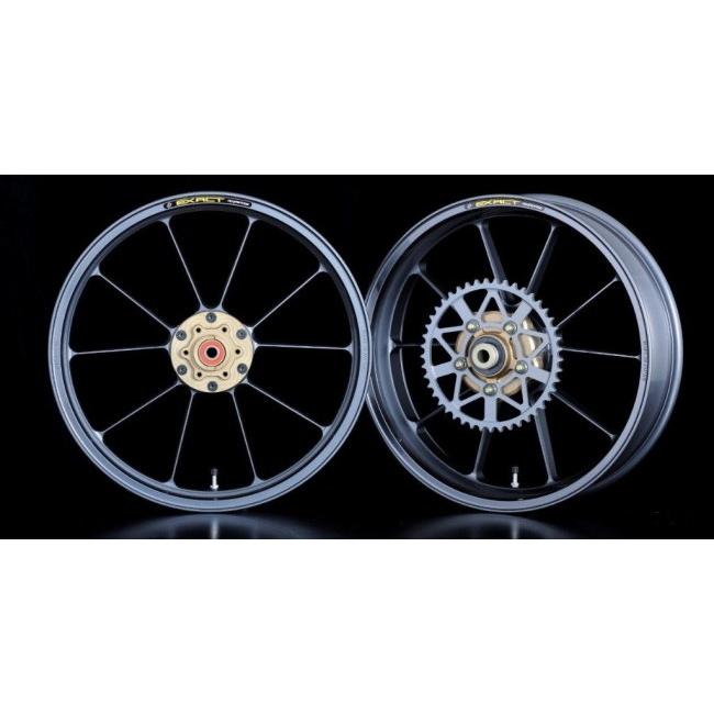 ADVANTAGE アドバンテージ EXACT [イグザクト] II RACING 10 フル鍛造アルミホイール カラー：ガンメタ Ninja ZX-4R SE ZX-4RR KAWASAKI カワサキ ホイール | ADVANTAGE | 03