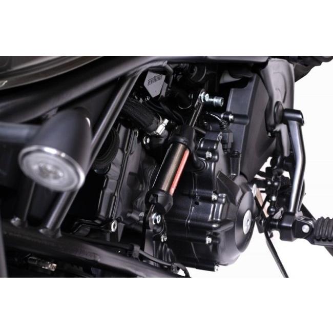 ACTIVE（アクティブ） パフォーマンスダンパー(R) CL250 REBEL250S