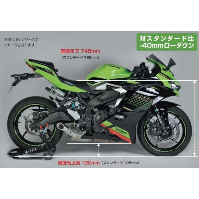 NITRON ナイトロン リアサスペンションモノショック NTR R3 シリーズ