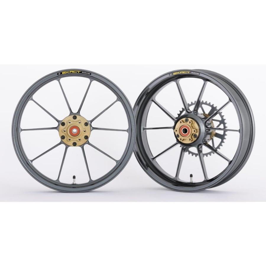 ADVANTAGE アドバンテージ EXACT [イグザクト] II RACING 10 フル鍛造アルミホイール カラー：ガンメタ Ninja ZX-4R SE ZX-4RR KAWASAKI カワサキ ホイール | ADVANTAGE