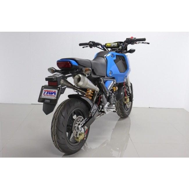 TYGA Performance（タイガパフォーマンス） 2本出しフルエキゾースト