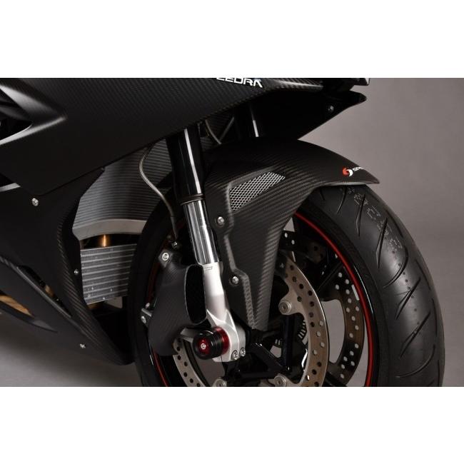 RPM CARBON アールピーエムカーボン タンクサイドインナーカウル NINJA