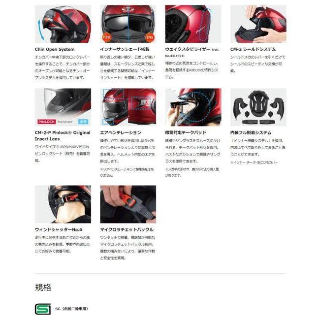 OGK Kabuto（オージーケーカブト） RYUKI [リュウキ フラットコヨーテ