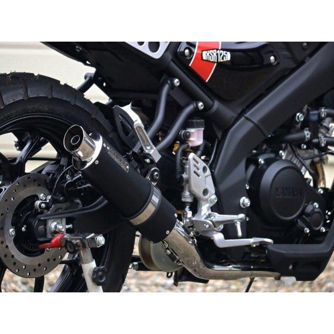 WR'S（ダブルアールズ） WR'S 【JMCA政府認証マフラー】ショート