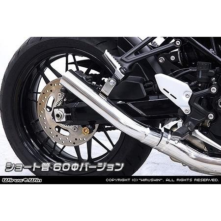 WirusWin（ウイルズウィン） スリップオンマフラー ショート管