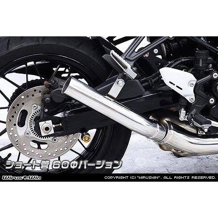 WirusWin（ウイルズウィン） スリップオンマフラー ショート管