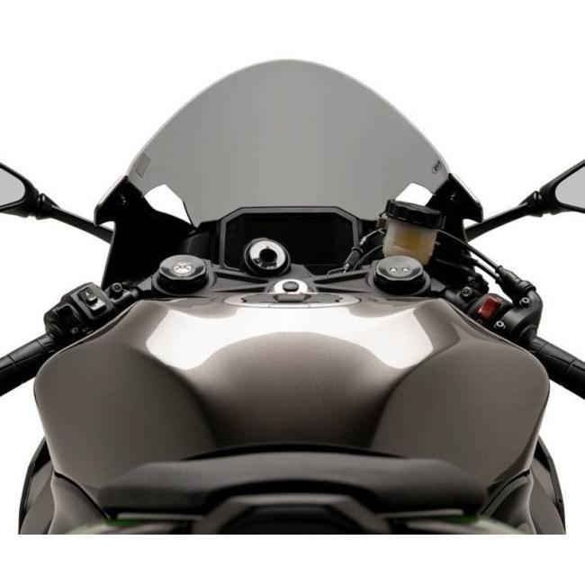 Puig プーチ レーシングスクリーンR-RACER (R-RACER SCREEN) カラー