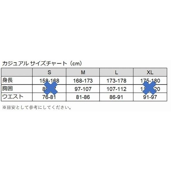 100％ ヒャクパーセント ICON Hoodie Fleece Pullover パーカー サイズ：M カジュアルパーカー・フーディー・スウェット アパレル_2