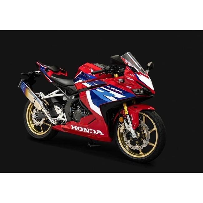 CBR250RR スリップオンマフラー IKAZUCHI 焼チタン TRICK STAR（トリックスター） 政府認証スリップオンマフラーIKAZUCHI