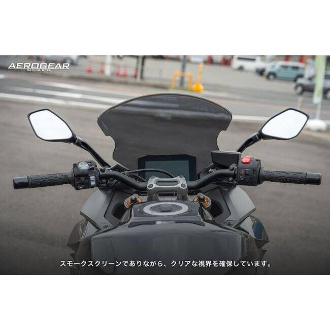 AERO GEAR エアロギア エアロロングスクリーン カラー：スモーク GSX