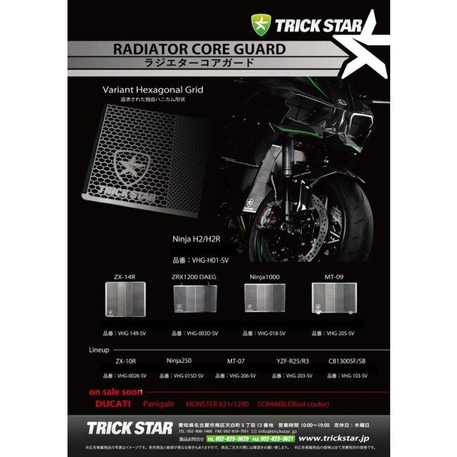 TRICK STAR（トリックスター） ラジエターコアガード 表面仕上げ