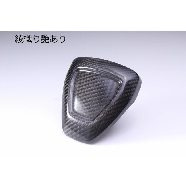 SPEEDRA スピードラ フロントフェンダー 仕様：フォージドカーボン(艶