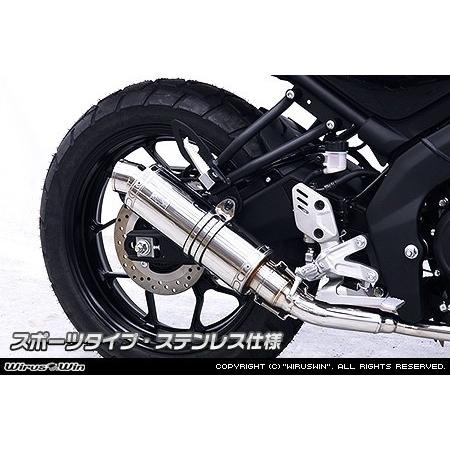WirusWin ウイルズウィン ダイナミックマフラー スポーツタイプ
