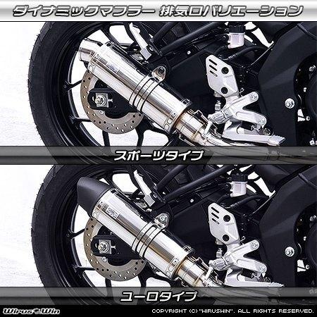 WirusWin ウイルズウィン ダイナミックマフラー スポーツタイプ